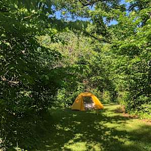 Tucked away in our hidden Oasis in one of the many campsites at Enchanted Oaks.
