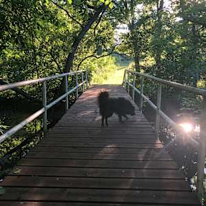 And our dogs enjoyed exploring the rest of the property, including this bridge and a beautiful pond.