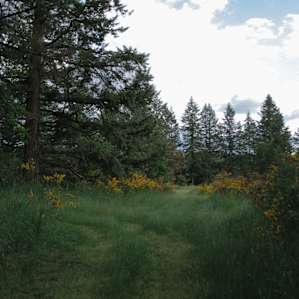 There is a system of trails behind the property, ideal for a sunrise walk or sunset horseback ride.