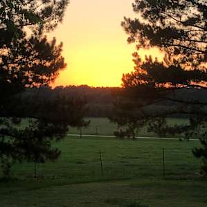 Sunset is lovely