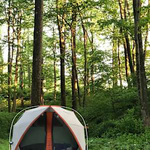 Peace and Quiet Along the River!
