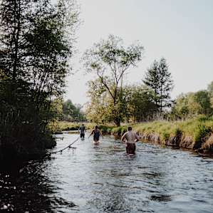forest water