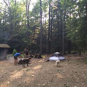 Setting up at the campground after a night of backpacking