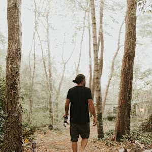 forest hiking activity