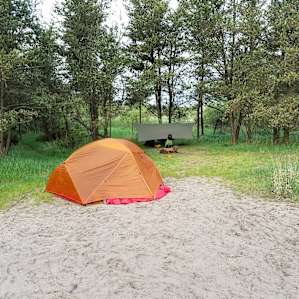Site G - There was only room for one hammock setup (trees were either too clustered or too short). Consider other sites if hammock camping.
