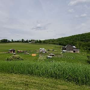 ZiegenVine Homestead - tent sites
