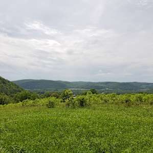 ZiegenVine Homestead - tent sites
