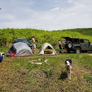 ZiegenVine Homestead - tent sites
