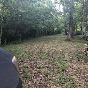 Lots of space to roam