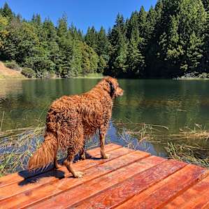 Family swim area - very private