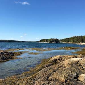 Maine Oceanfront Island Campsites