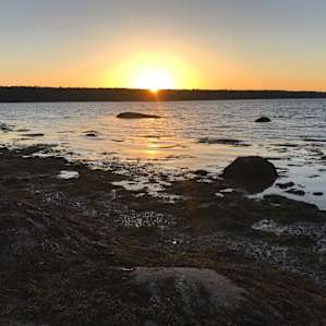 Maine Oceanfront Island Campsites