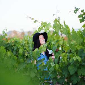 vineyard