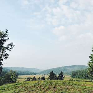 Mornings on the farm