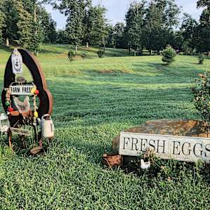 Rusty Acorn Farm