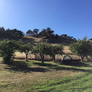 Our tent set up in the apple orchard. The platform made stargazing so easy!