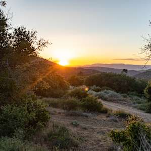 Great sunset