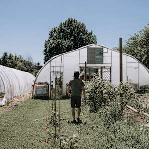 farm