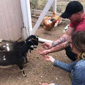High Desert Look Out & Baby Goats!