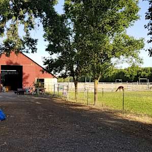 Sterling Creek Ranch