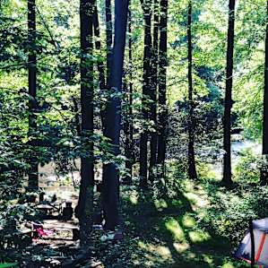 Peace and Quiet Along the River!