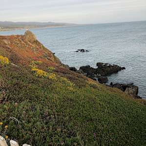 Just across the road visit pigeon point