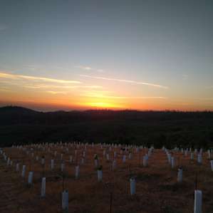 Secluded Vineyard Walk-In (Site 3)