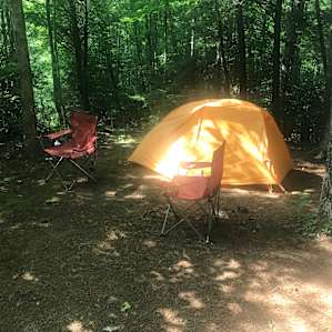 Tent Camping in the Pines