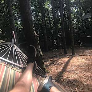 Tent Camping in the Pines