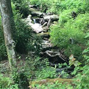 Waterfall Cove, Glamp with a View!