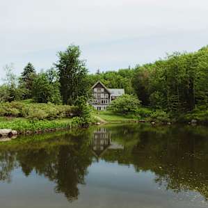 forest water