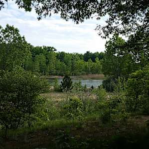 Karner Blue Campground