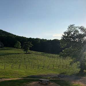 Cobbler Mountain Cellars