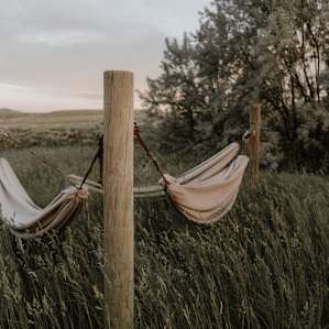 hammock activity