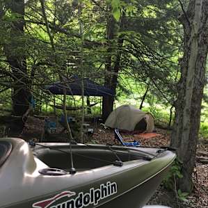 Fishermen's Paradise