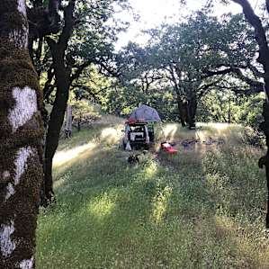 Campsite