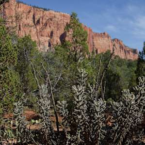 Water Canyon Cliffside Tent 1