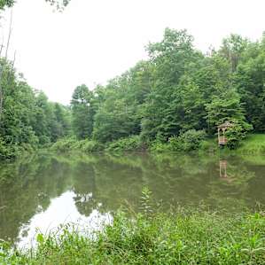 The pond with a small gazebo.