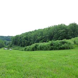 Make sure you walk the mowed path up the hill!