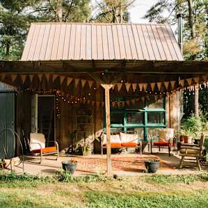 cabin forest lodging