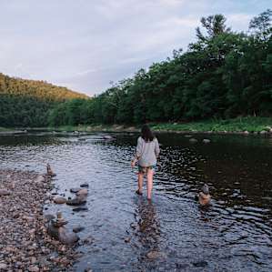 forest water