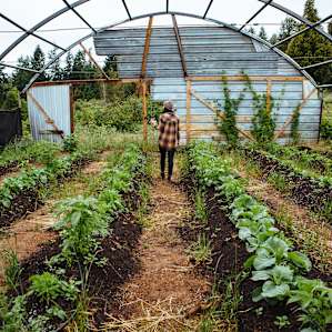 The green house.