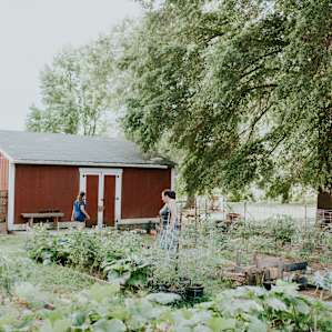 farm
