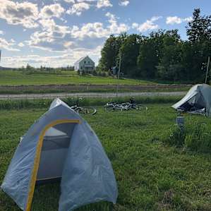 View out from campsite in the elderberry field.