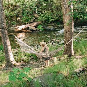 The best hammock spot ever.