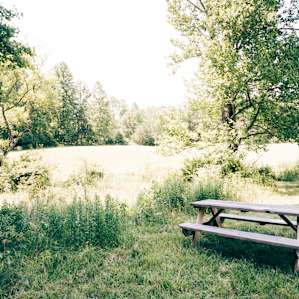 Primitive Campsite #3