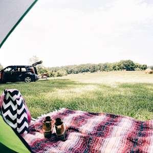 Primitive Campsite #1