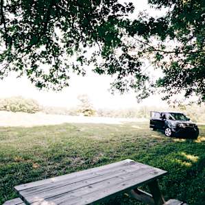 Primitive Campsite #1