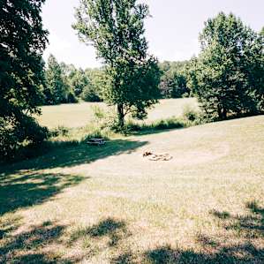 Primitive Campsite #1