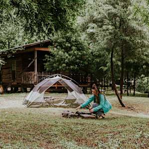 tent cabin forest